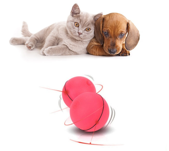 LED Laser Rolling Cat Toy Ball – USB Rechargeable Automatic Smart Pet Toy | Petzion