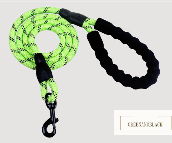 Reflective Nylon Dog Leash – Strong Rope Lead for Small, Medium & Large Dogs | Petzion