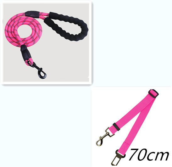 Reflective Nylon Dog Leash – Strong Rope Lead for Small, Medium & Large Dogs | Petzion