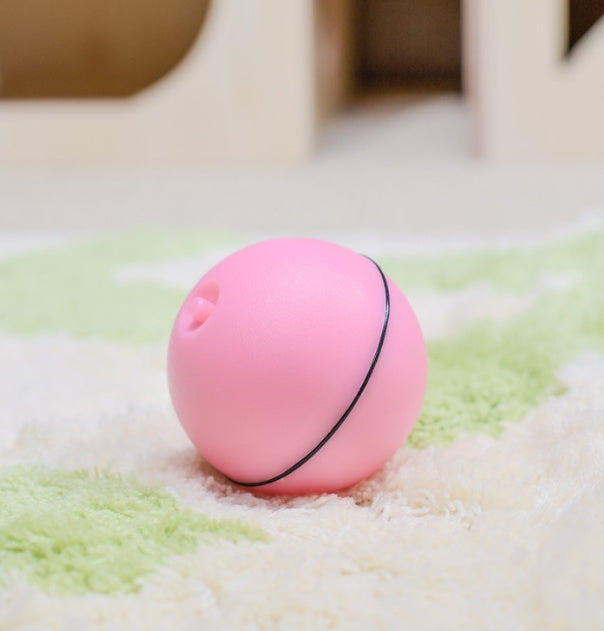 LED Laser Rolling Cat Toy Ball – USB Rechargeable Automatic Smart Pet Toy | Petzion