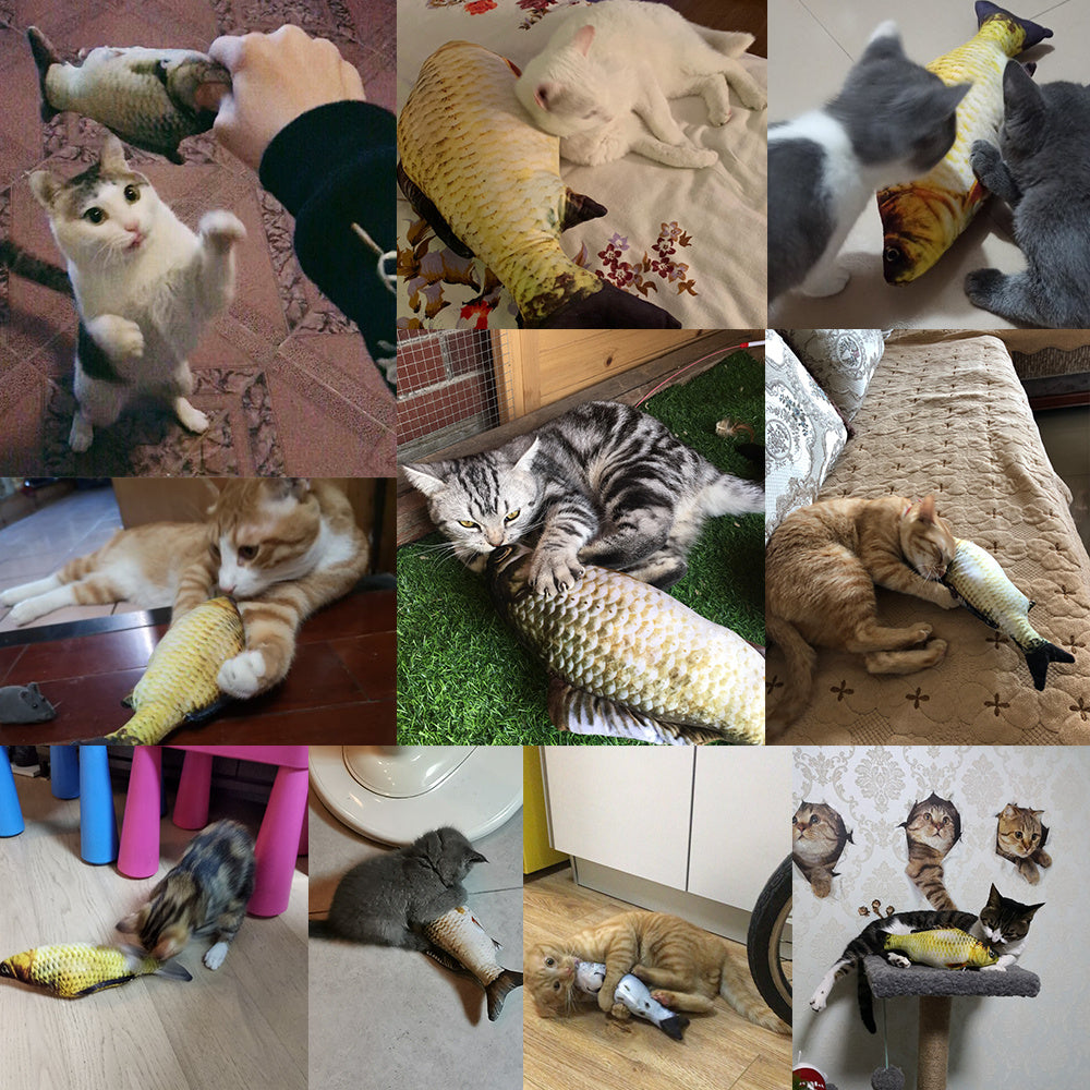 Electric Jumping Fish Cat Toy (Without Catnip) – Realistic Flopping Fish Simulation | Petzion