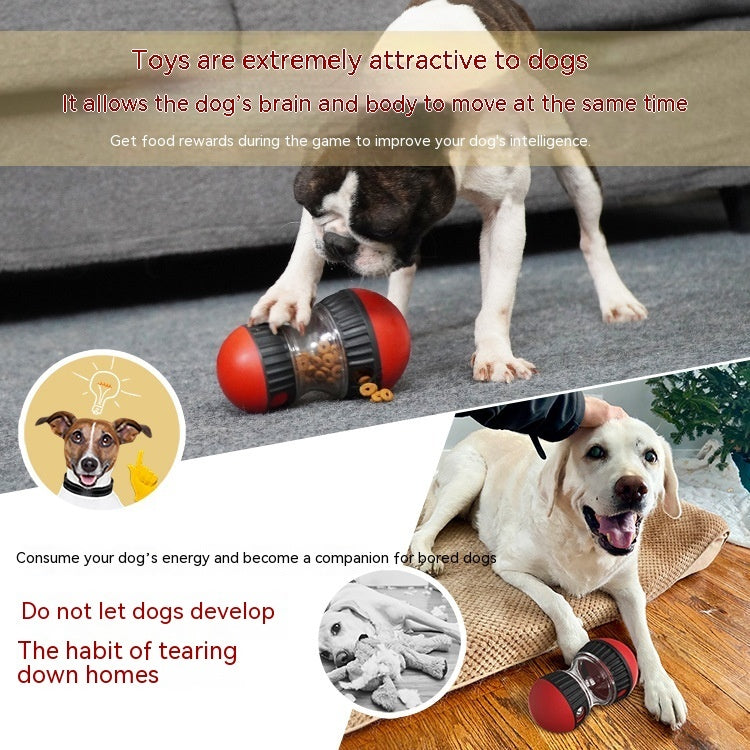 Food Dispensing Dog Toy – Interactive Tumbler Puzzle Ball for Slow Feeding & Training | Petzion