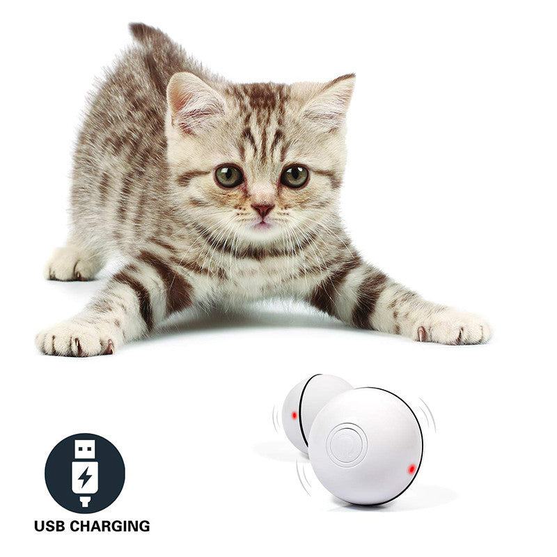 LED Laser Rolling Cat Toy Ball – USB Rechargeable Automatic Smart Pet Toy | Petzion
