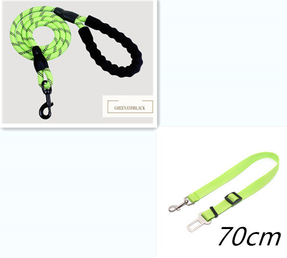 Reflective Nylon Dog Leash – Strong Rope Lead for Small, Medium & Large Dogs | Petzion
