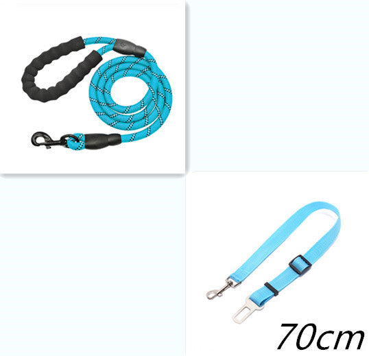 Reflective Nylon Dog Leash – Strong Rope Lead for Small, Medium & Large Dogs | Petzion