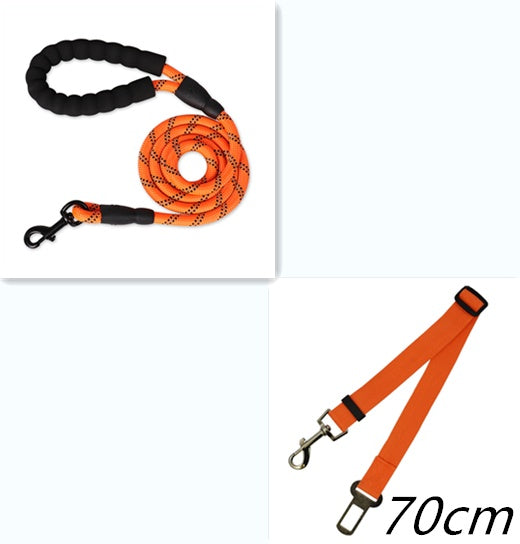 Reflective Nylon Dog Leash – Strong Rope Lead for Small, Medium & Large Dogs | Petzion