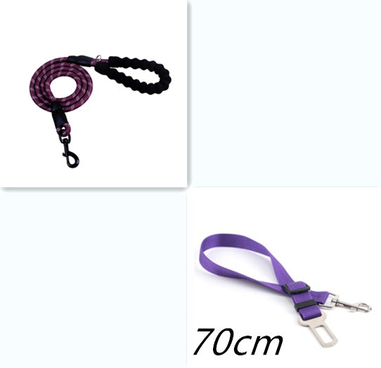 Reflective Nylon Dog Leash – Strong Rope Lead for Small, Medium & Large Dogs | Petzion