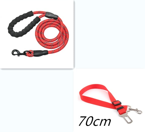 Reflective Nylon Dog Leash – Strong Rope Lead for Small, Medium & Large Dogs | Petzion
