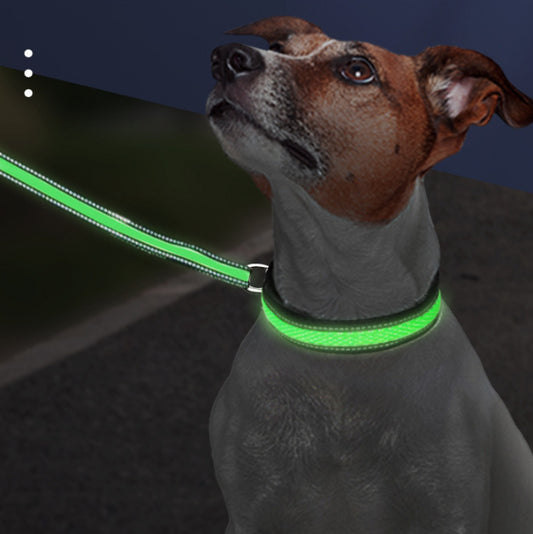 LED Luminous Dog Collar – Rechargeable Nylon Mesh Waterproof Pet Collar