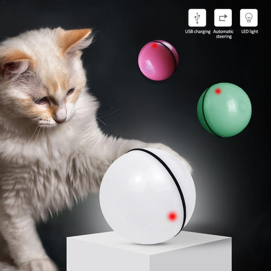 LED Laser Rolling Cat Toy Ball – USB Rechargeable Automatic Smart Pet Toy | Petzion